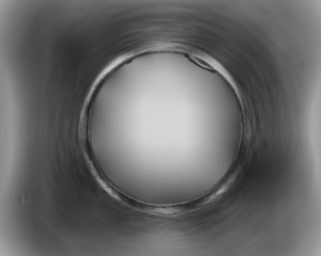 X0000086221053200704121853