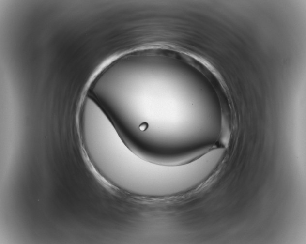 X0000086221054200704121853