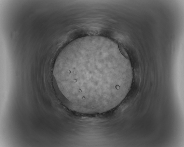 X0000086221057200704121853