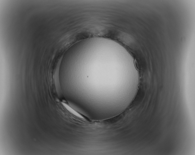 X0000086221058200704121853