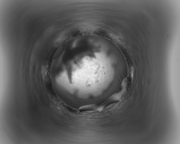 X0000086221059200704121853