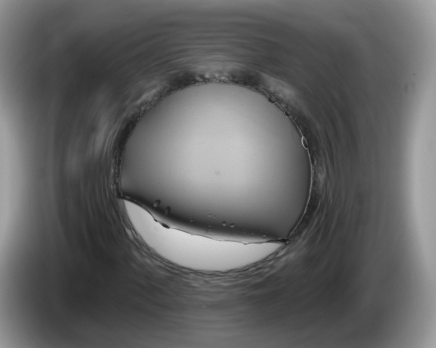 X0000086221060200704121853