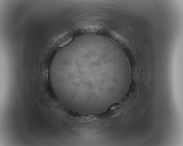 X0000086221061200704121853