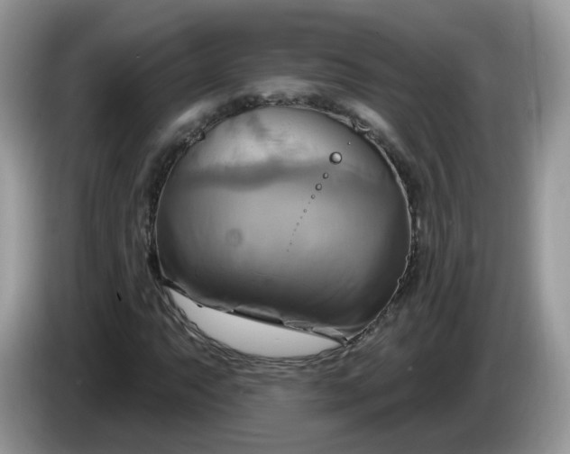 X0000086221063200704121853