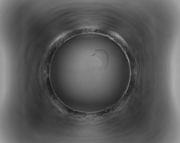 X0000086221064200704121853