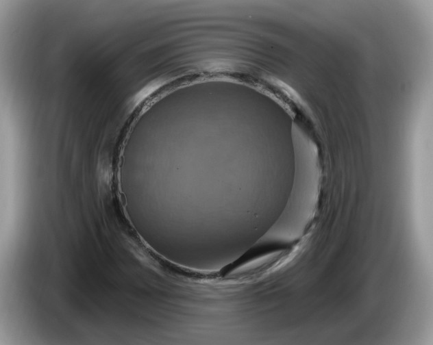 X0000086221065200704121853