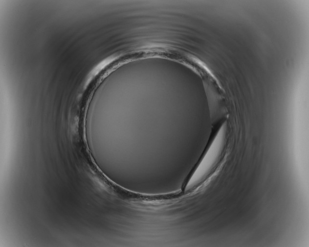 X0000086221066200704121853