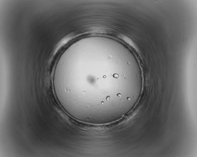 X0000086221067200704121853