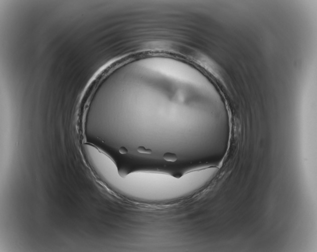 X0000086221068200704121853