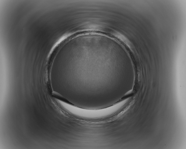 X0000086221069200704121853