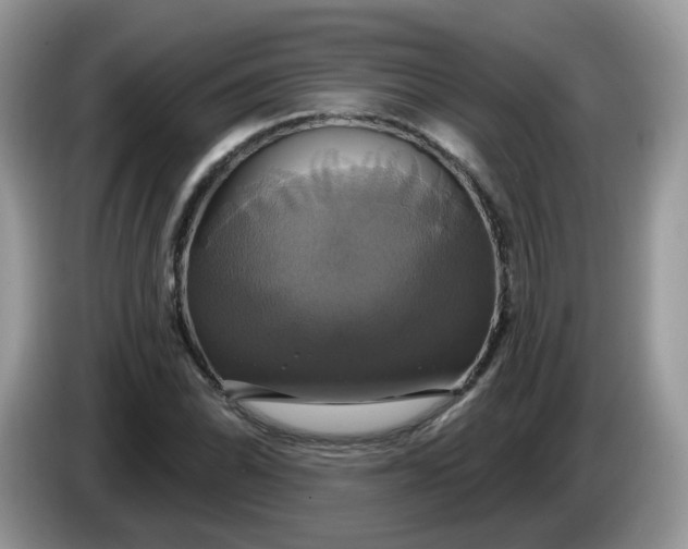 X0000086221070200704121853