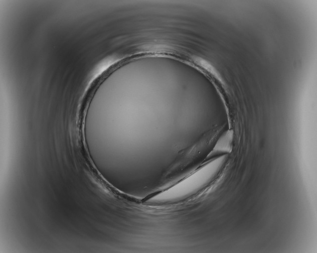 X0000086221071200704121853