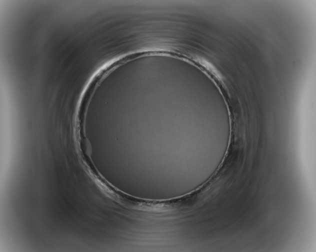 X0000086221072200704121853