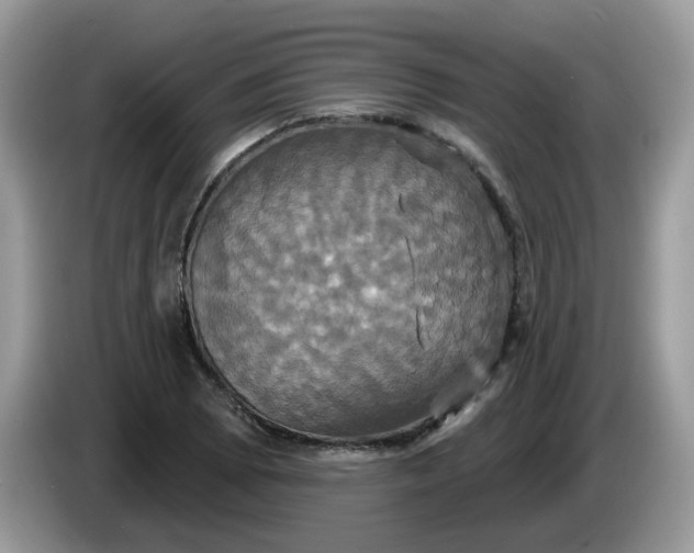 X0000086221073200704121853