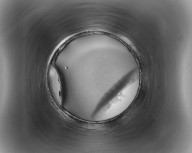 X0000086221076200704121853