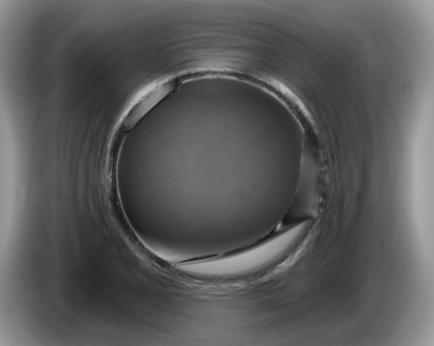 X0000086221077200704121853