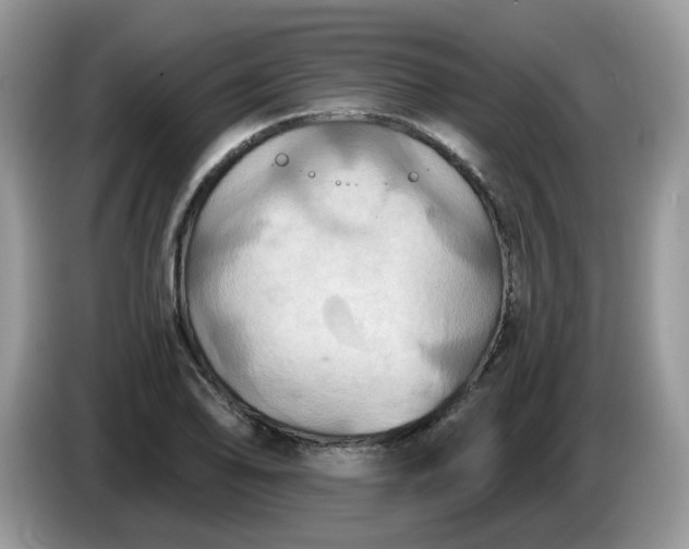 X0000086221078200704121853