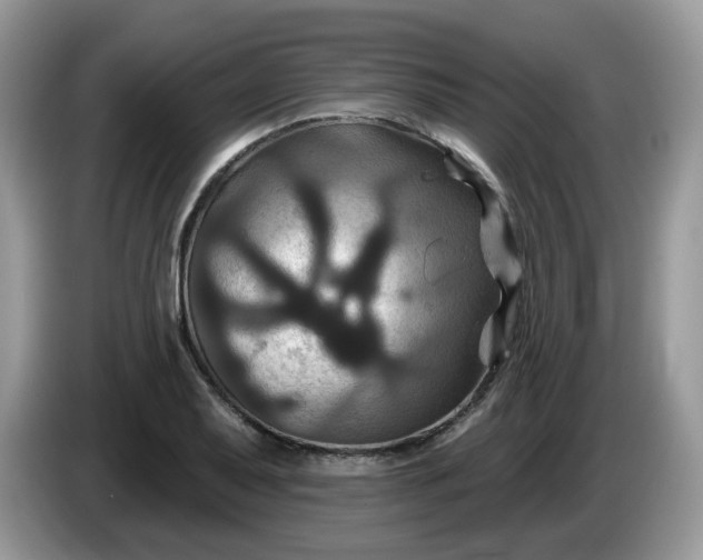 X0000086221079200704121853