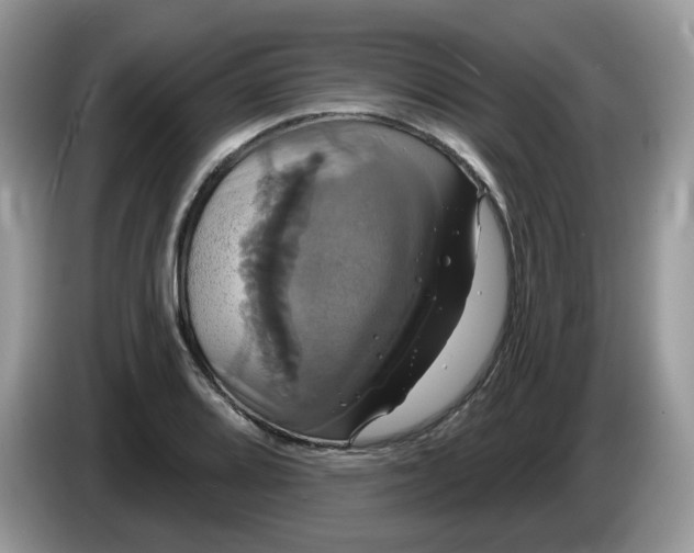 X0000086221080200704121853