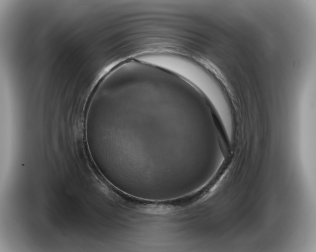 X0000086221081200704121853