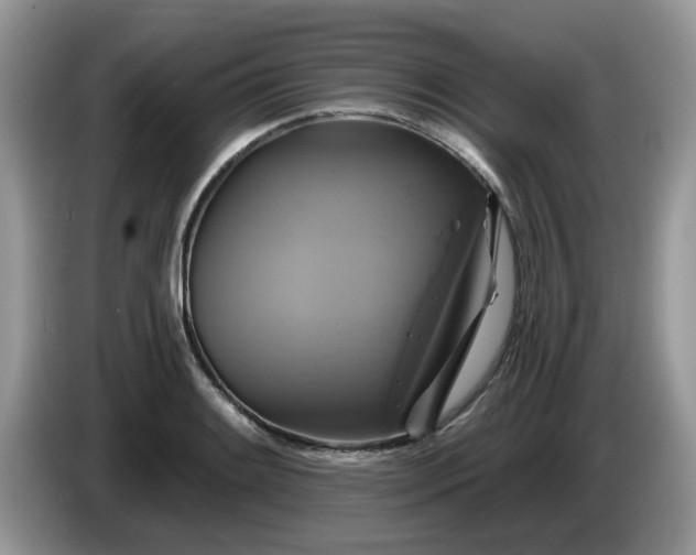 X0000086221084200704121853