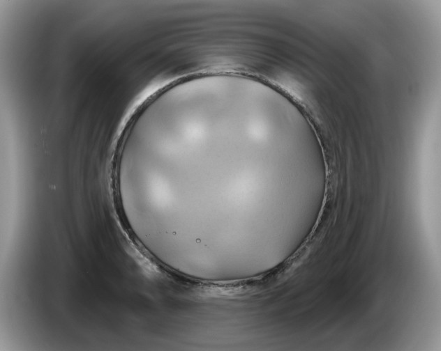 X0000086221086200704121853