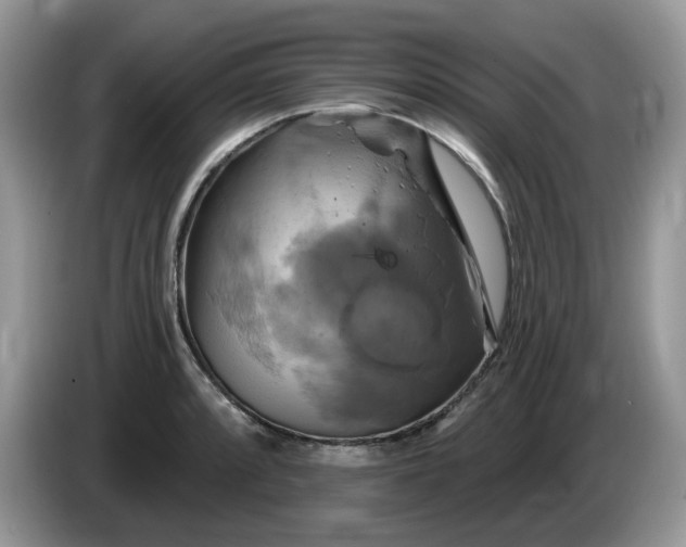 X0000086221088200704121853