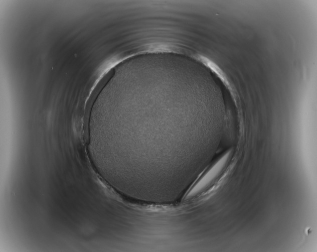 X0000086221089200704121853