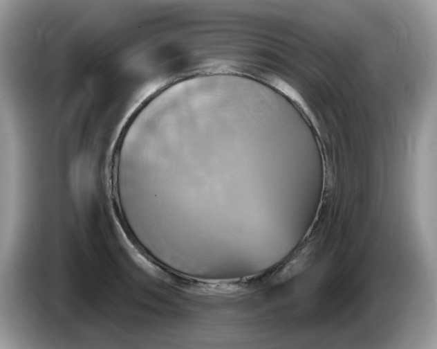 X0000086221090200704121853