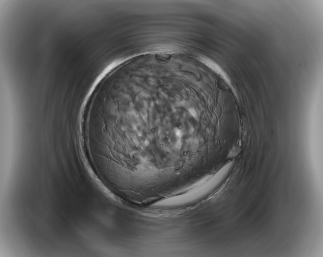 X0000086221091200704121853