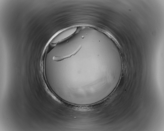 X0000086221092200704121852