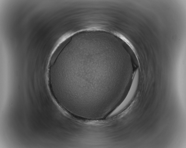 X0000086221093200704121852