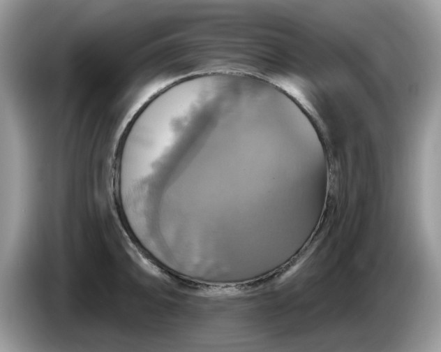 X0000086221094200704121852