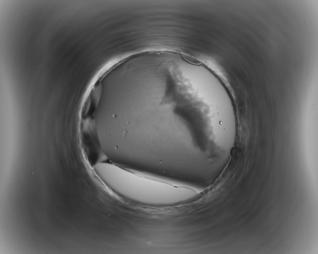 X0000086221096200704121852