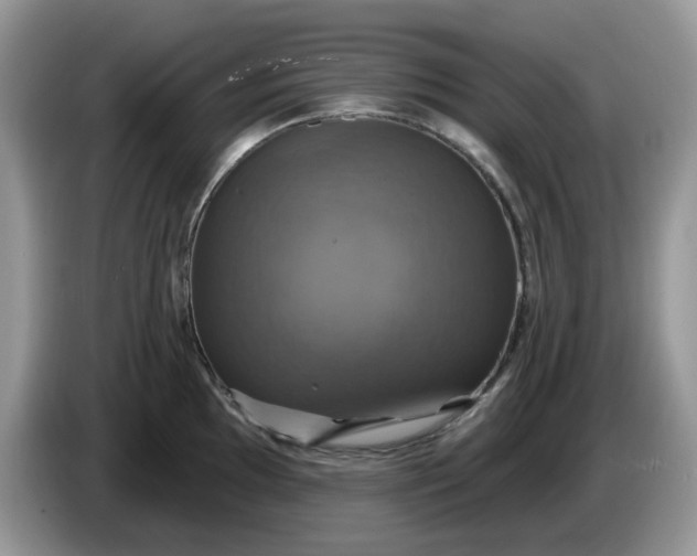 X0000086221097200704121852