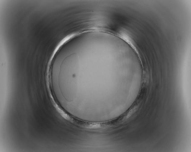 X0000086221098200704121852