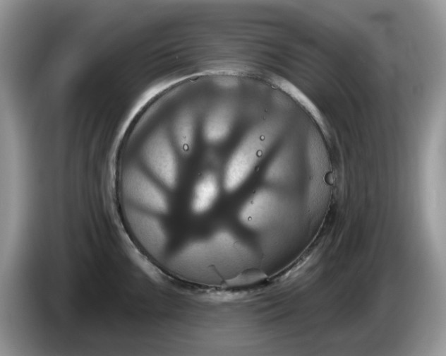 X0000086221099200704121852