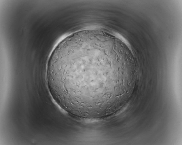 X0000086221103200704121852