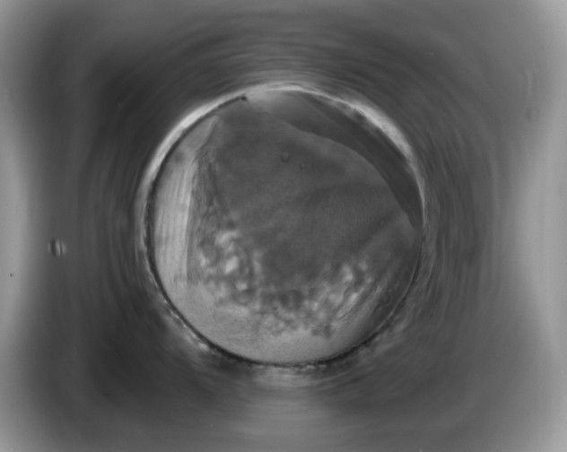 X0000086221104200704121852