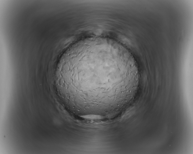 X0000086221105200704121852