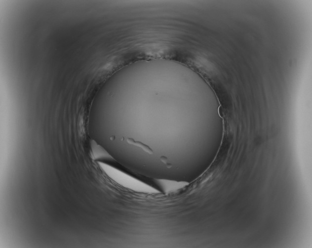 X0000086221106200704121852