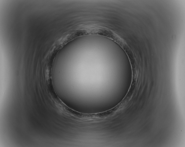 X0000086221108200704121852