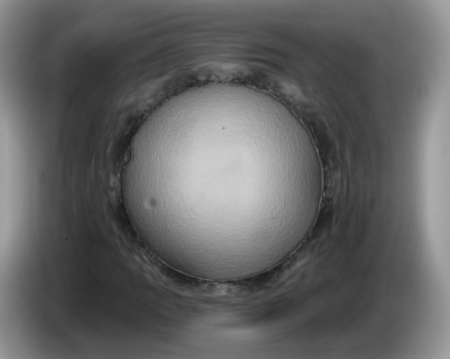 X0000086221109200704121852