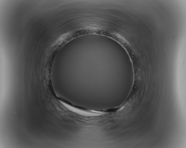 X0000086221110200704121852