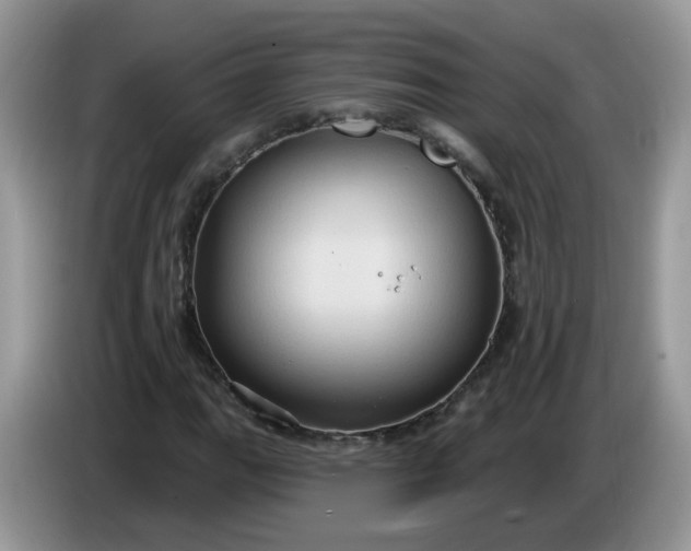 X0000086221111200704121852