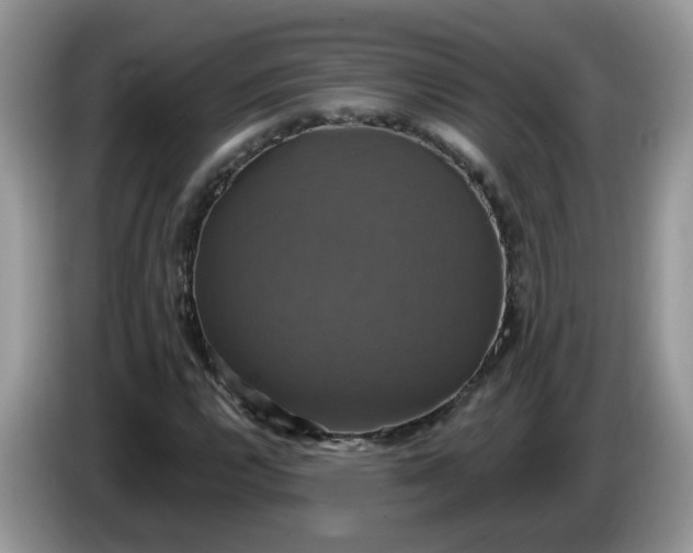 X0000086221112200704121852