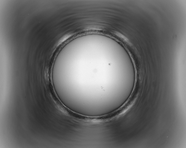 X0000086221113200704121852