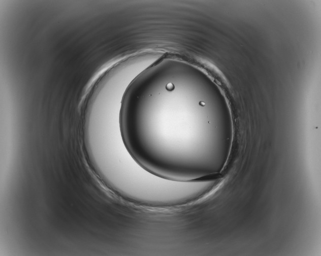 X0000086221114200704121852