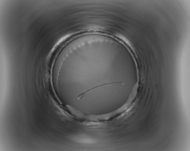 X0000086221115200704121852