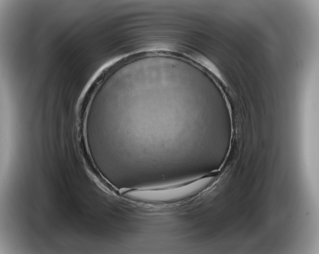 X0000086221116200704121852